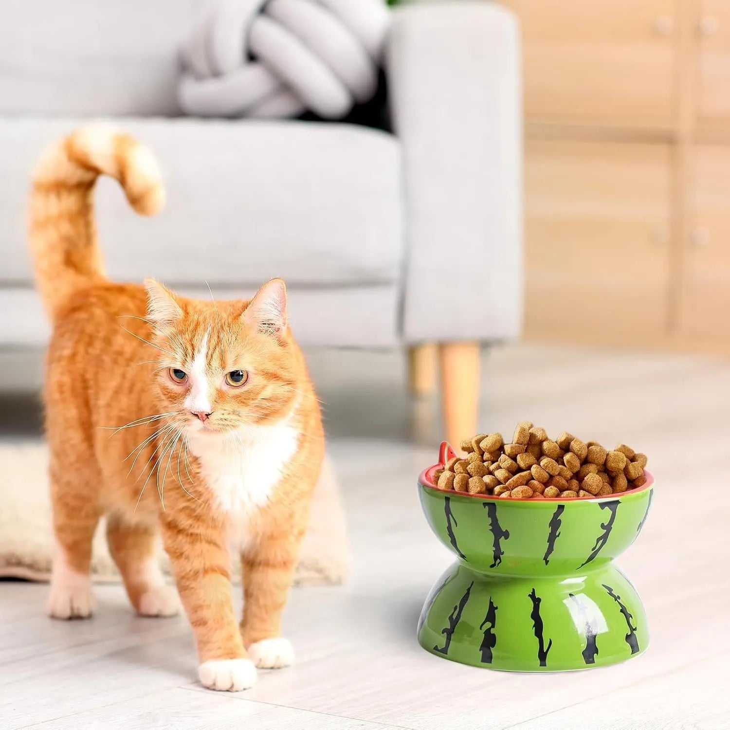 Ceramic elevated cat bowl with tilted wide dish in a colourful fruit pattern.