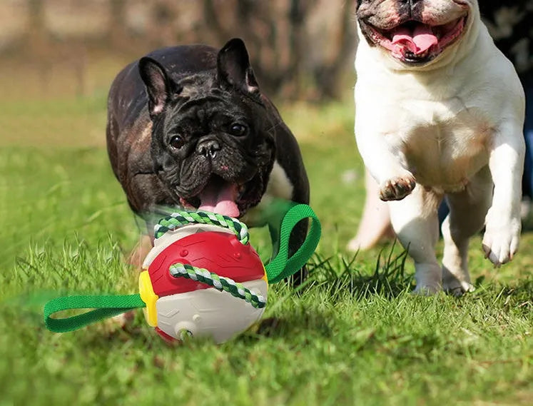 Interactive dog football soccer ball with tabs in blue and yellow, flattened into a frisbee shape with cotton rope around edge