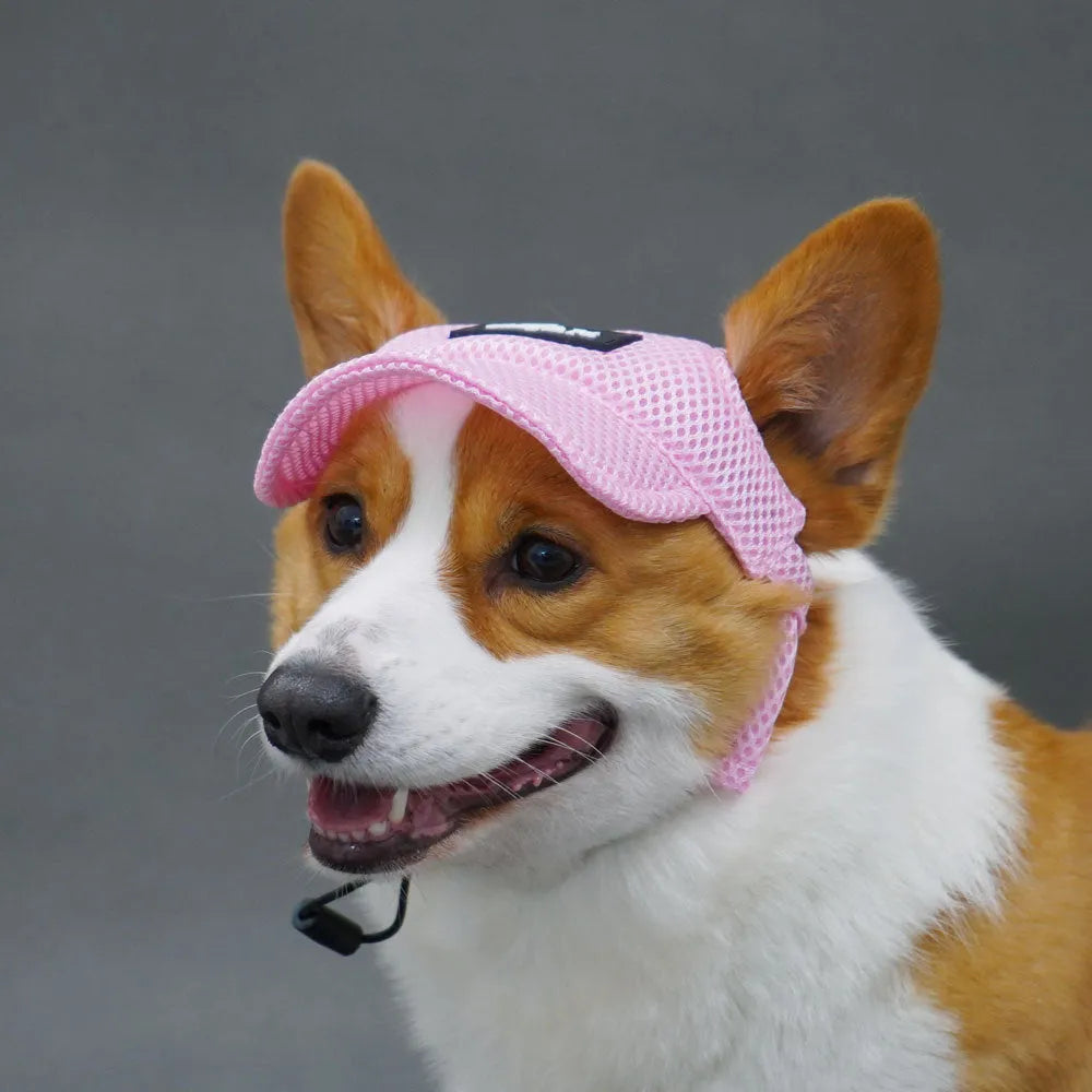 Breathable sandwich net dog hat with ear holes in green or pink, sizes XS to XL