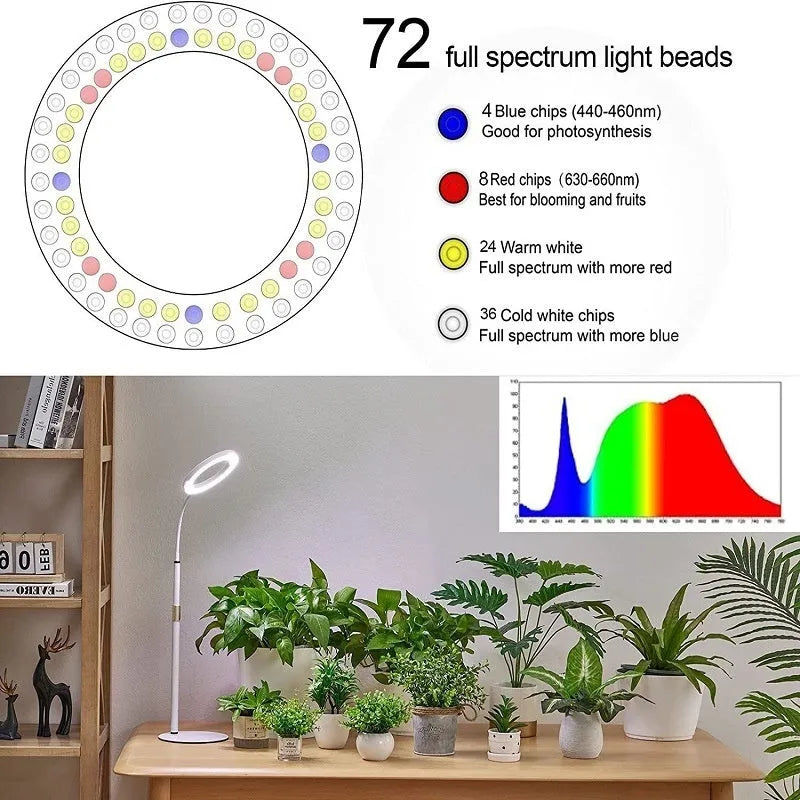 6-inch angel ring LED plant grow light on retractable floor stand with adjustable 160cm holder
