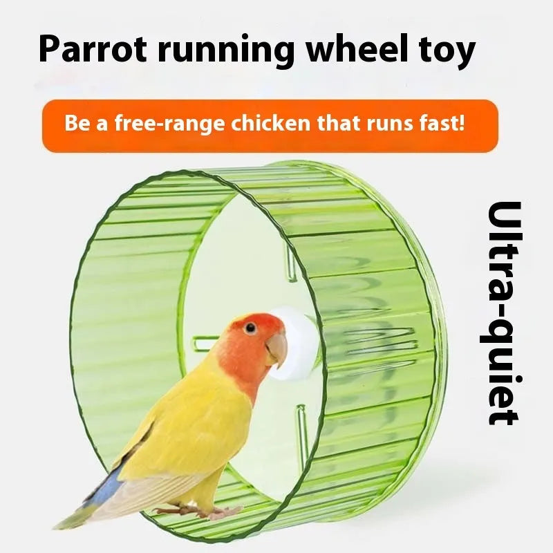 A transparent plastic parrot running wheel exercise toy with a 21cm diameter, mounted on cage bars.