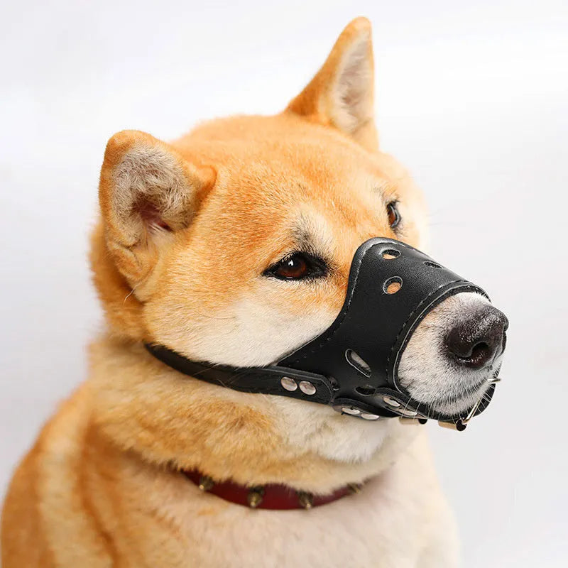 Adjustable dog muzzle silencer in black or brown showing anti-barking and bite prevention design for small to large dogs