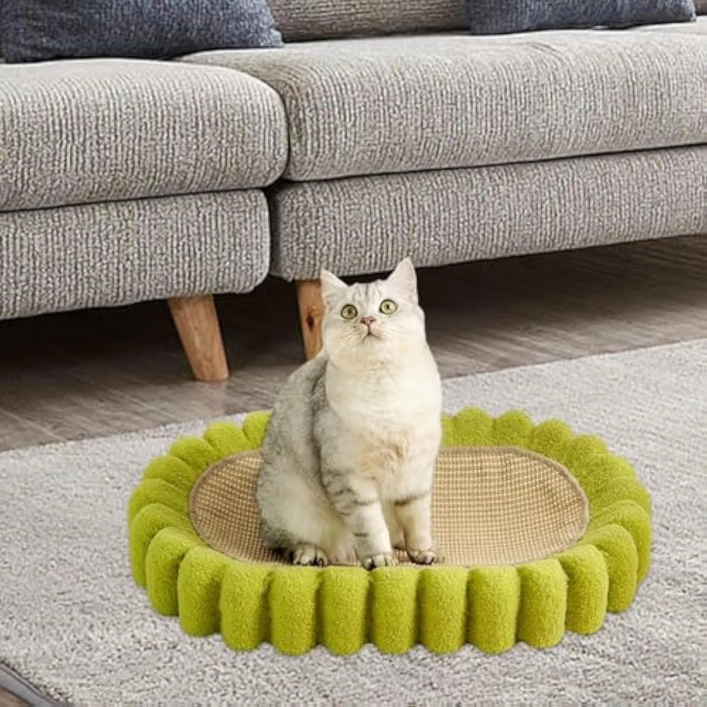 Green oval sisal cat scratch pad bowl serving as a cat bed and scratcher.