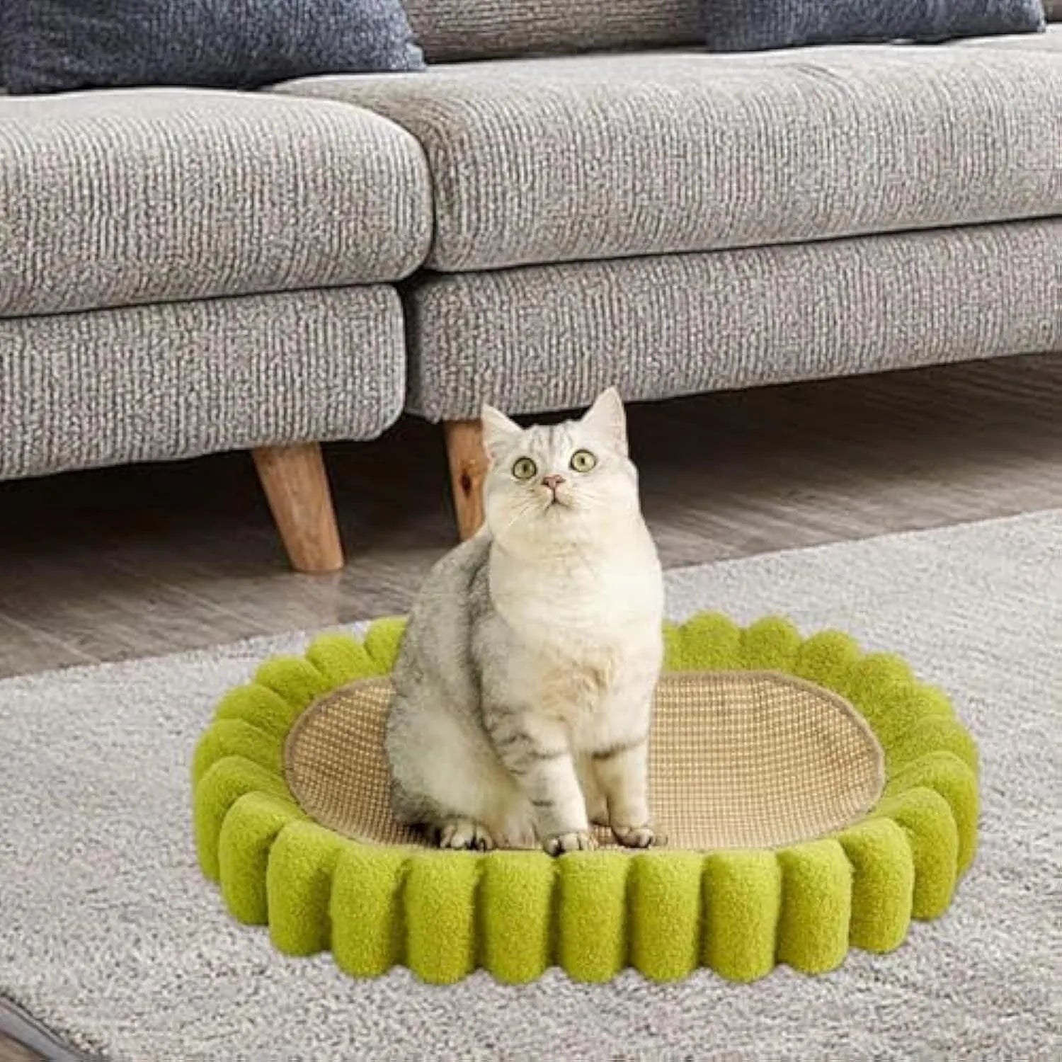 Green oval sisal cat scratch pad bowl serving as a cat bed and scratcher.