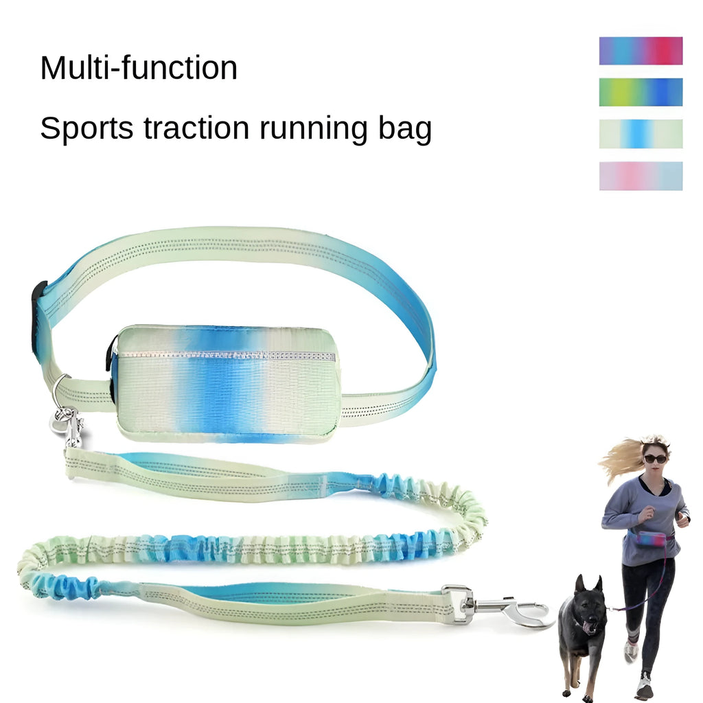 Blue adjustable hands-free dog leash with waist belt and reflective strips for walking and running