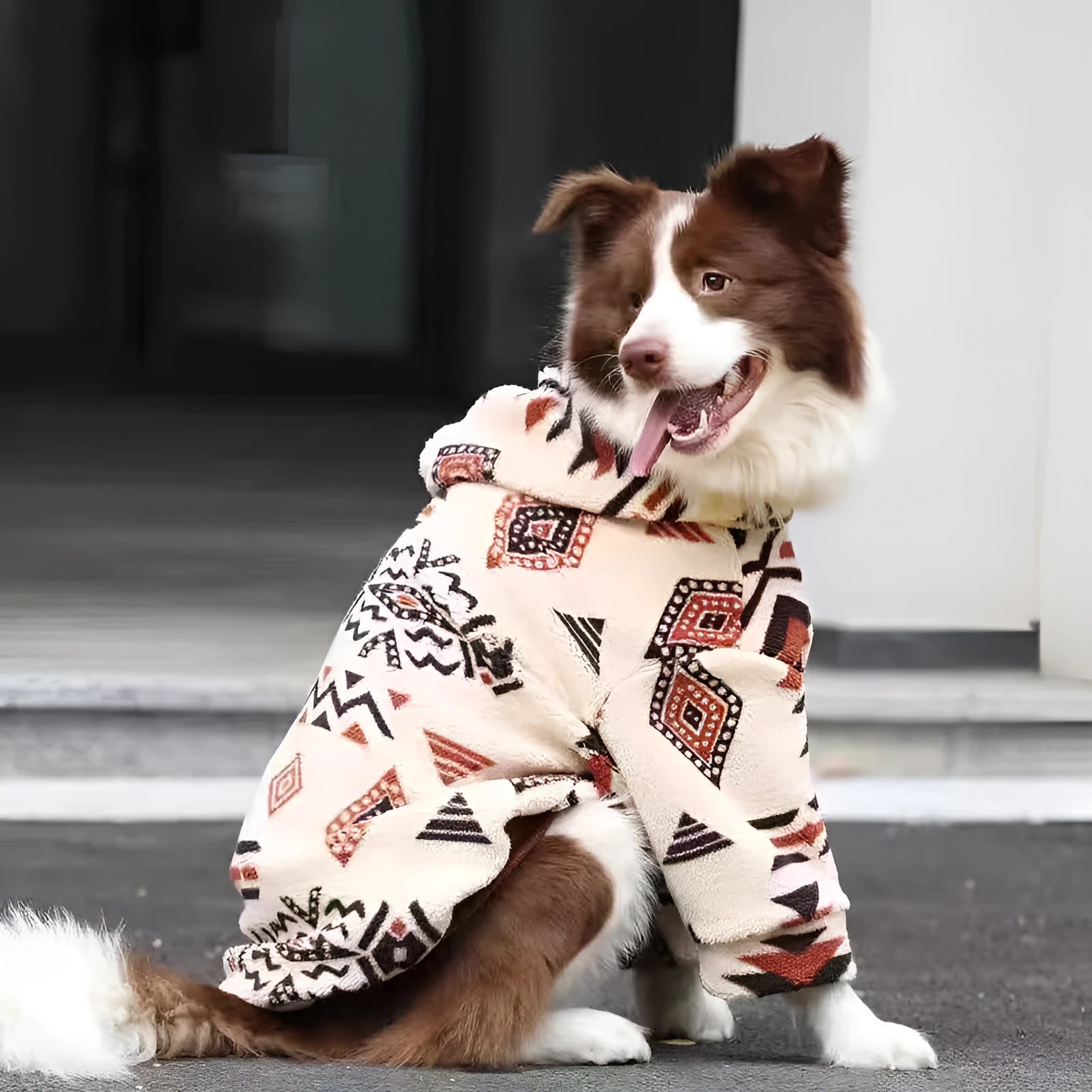 Thick arctic fleece winter coat for large dogs in beige apricot colour on a dog