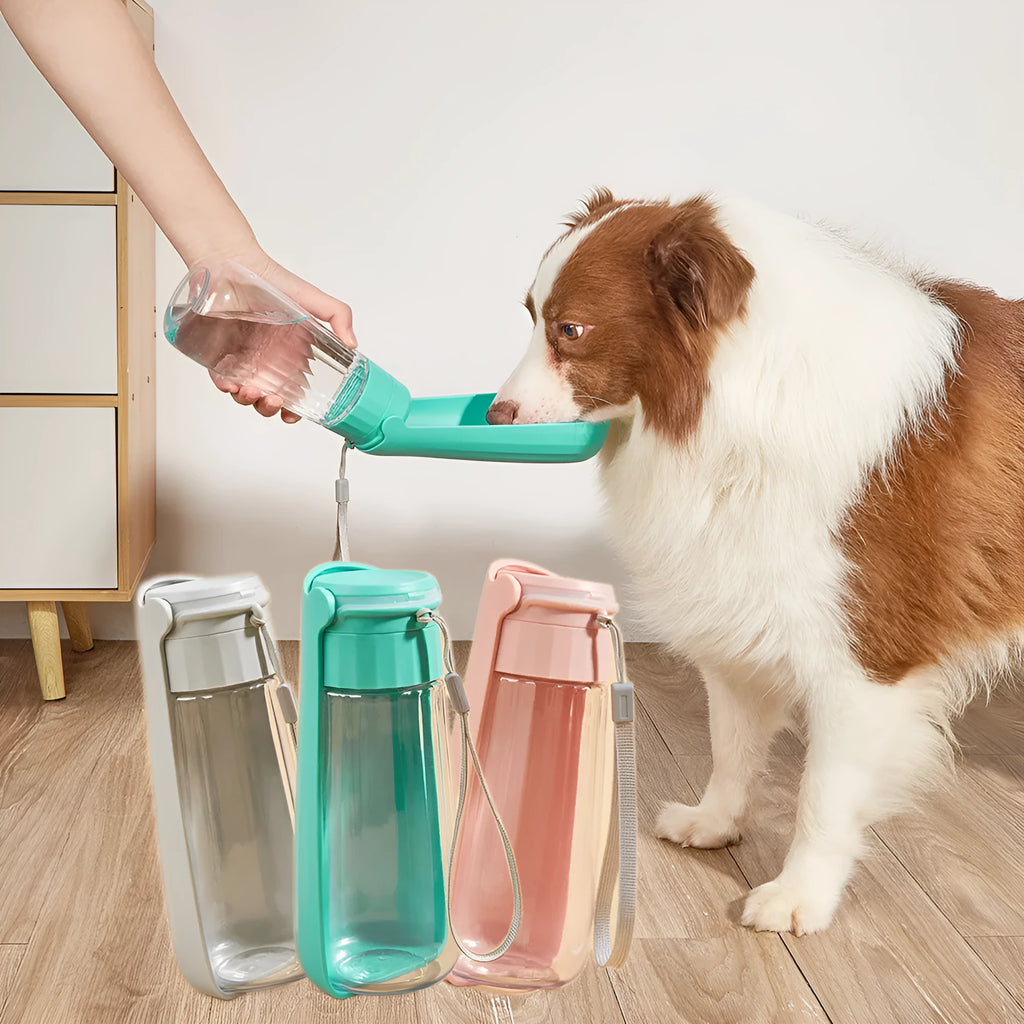 Portable folding pet water cup 550ml in blue for medium to large dogs