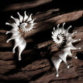 Conch-shaped three-dimensional matte finish alloy ear studs with irregular styling