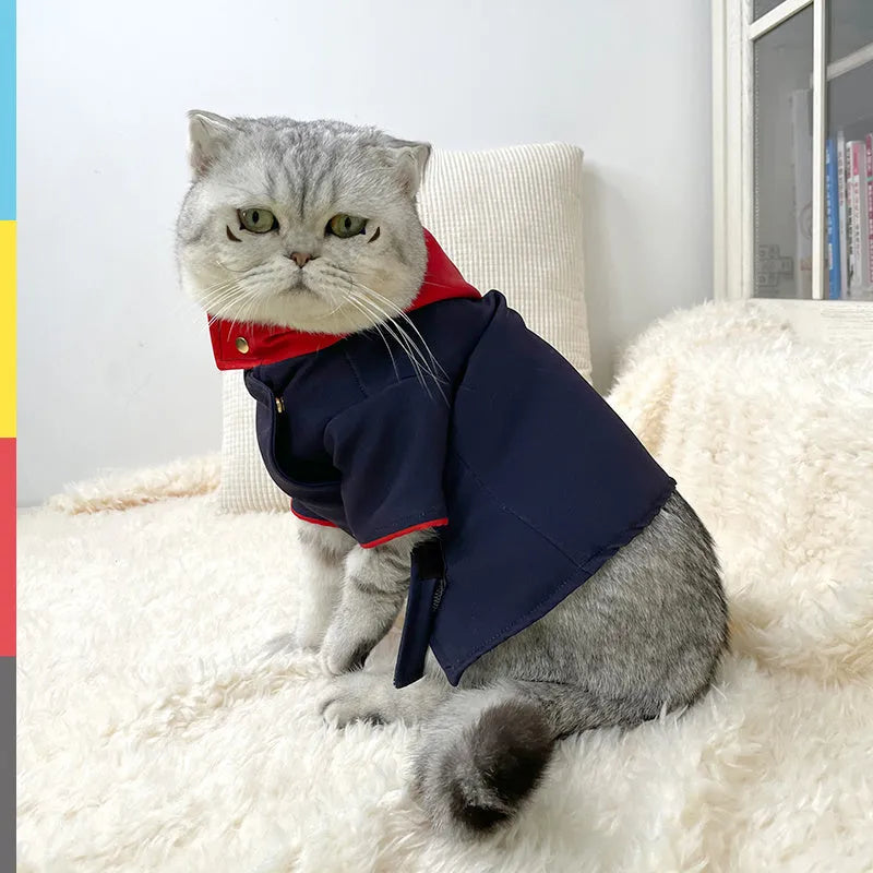 Cat and dog hoodie photo prop in tiger staff yuren colour, small and medium sizes.