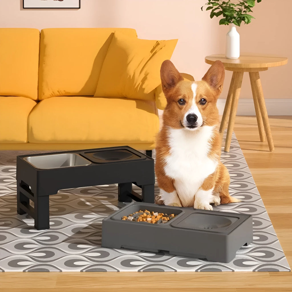 Adjustable height dog feeding stand with removable stainless steel bowls in black colour