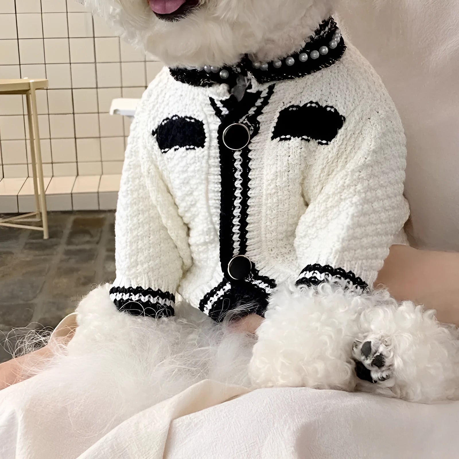 Korean style pearl collar sweater for small dogs in white and black colour options