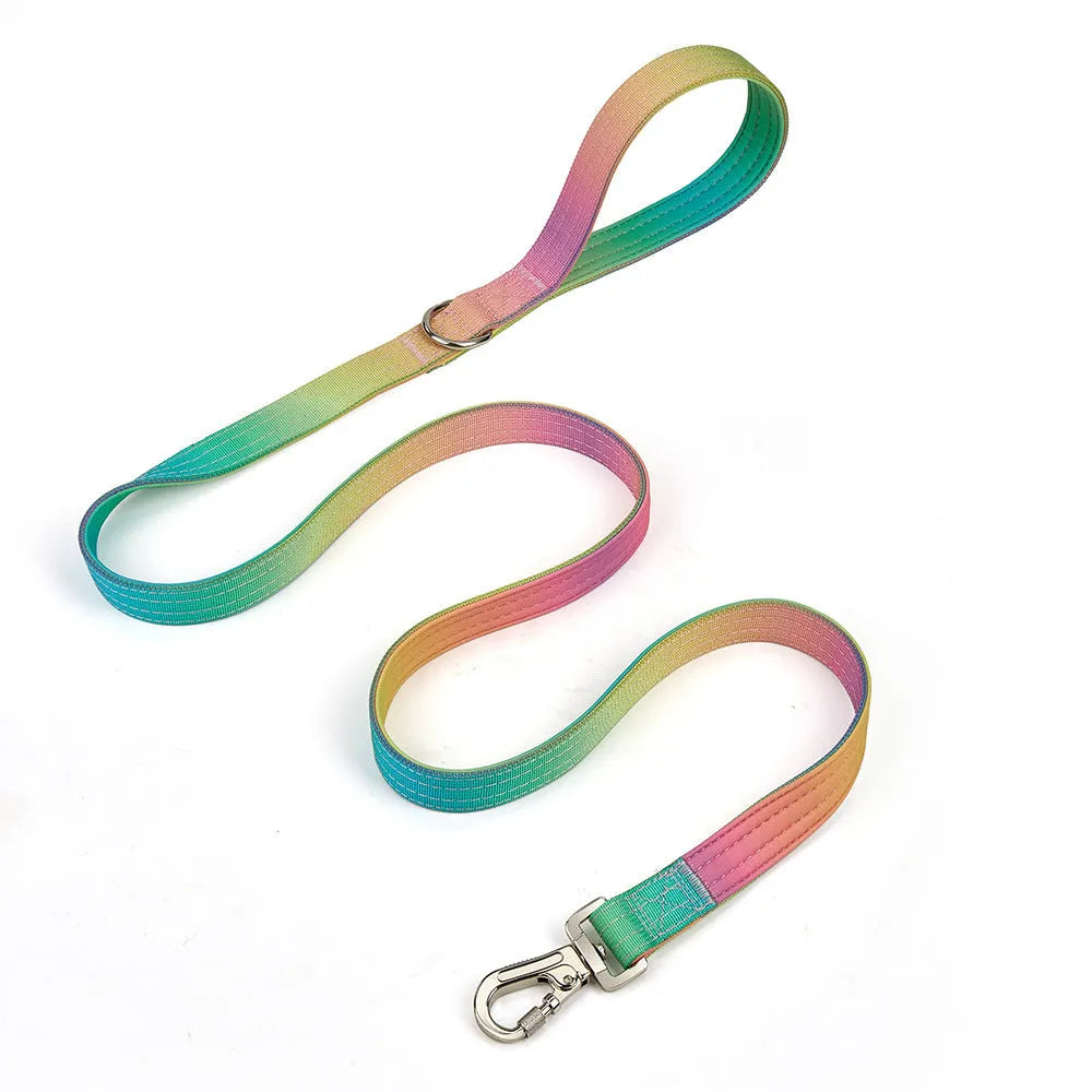 Gradient nylon dog collar and leash set, widened collar, Green Blue Pink Purple options, sizes L M, 2.5cm x 150cm leash