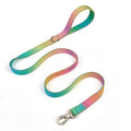 Gradient nylon dog collar and leash set, widened collar, Green Blue Pink Purple options, sizes L M, 2.5cm x 150cm leash