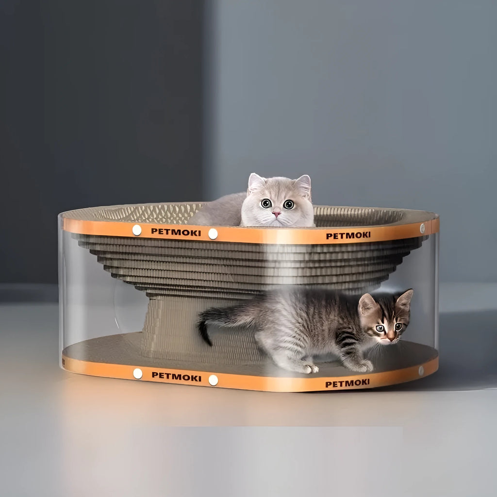 Transparent white PVC cat tunnel nest attached to a corrugated board scratch pad.