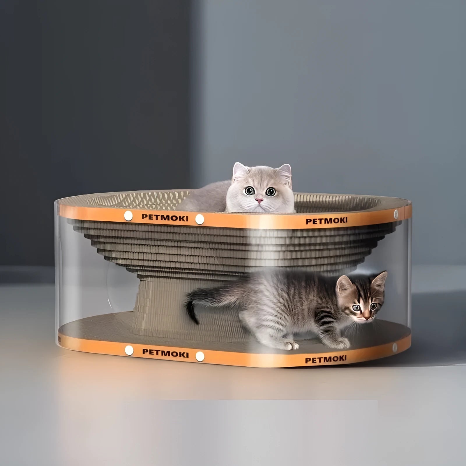 Transparent white PVC cat tunnel nest attached to a corrugated board scratch pad.