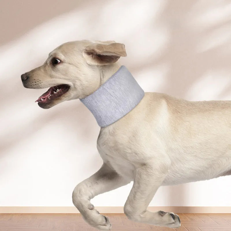 Soft cat cone recovery collar in grey and pink colours showing four size options