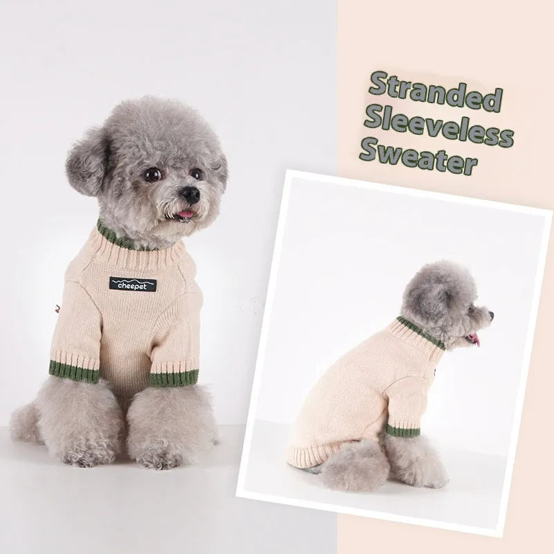 Dog wearing contrast colour two-leg wool sweater in British style