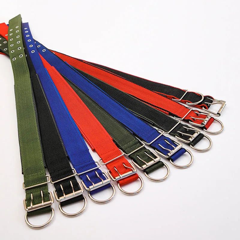 PP braid lined polypropylene PET foam dog collar in blue with nylon construction