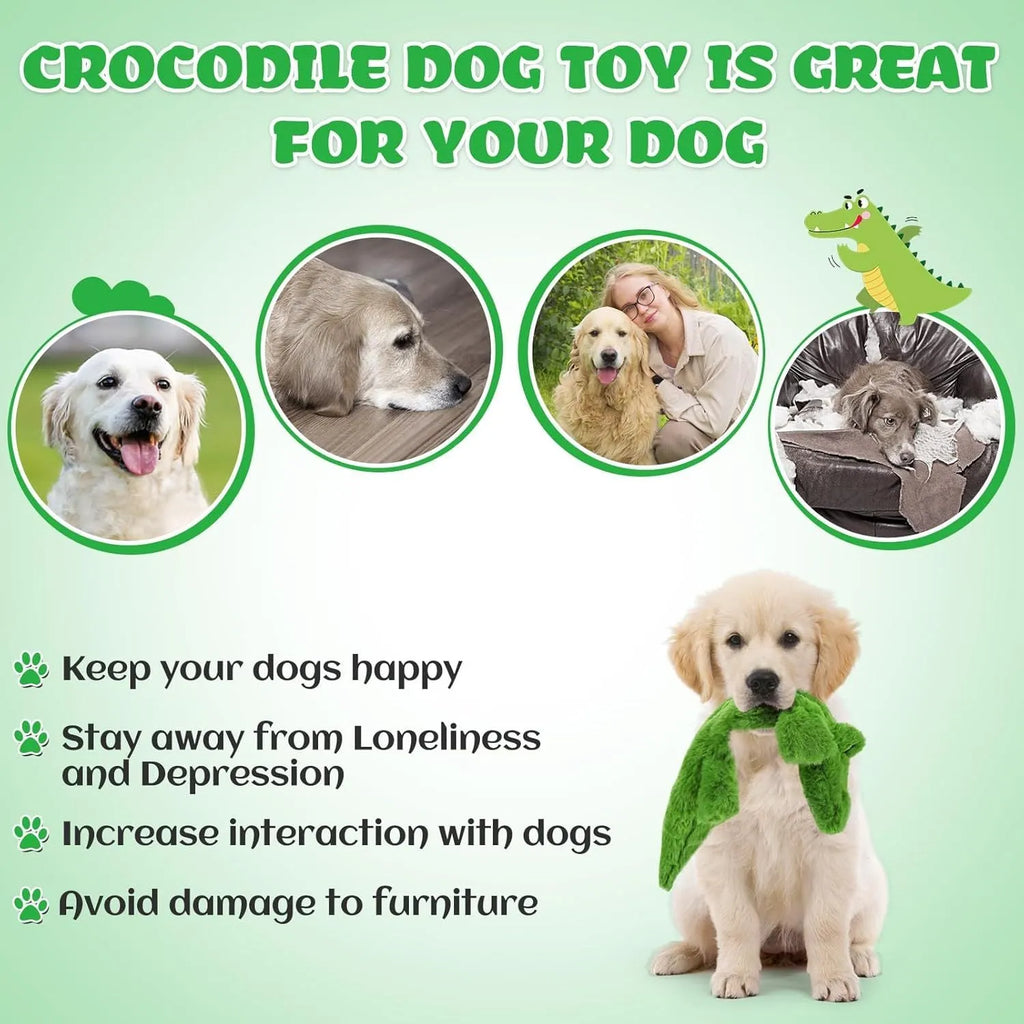 Green crocodile-shaped plush dog chew toy with no stuffing, shown with squeaker and crinkle features.
