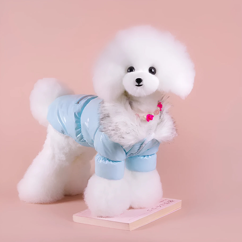 British style blue cotton winter jacket for medium-sized dog with collar and front closure