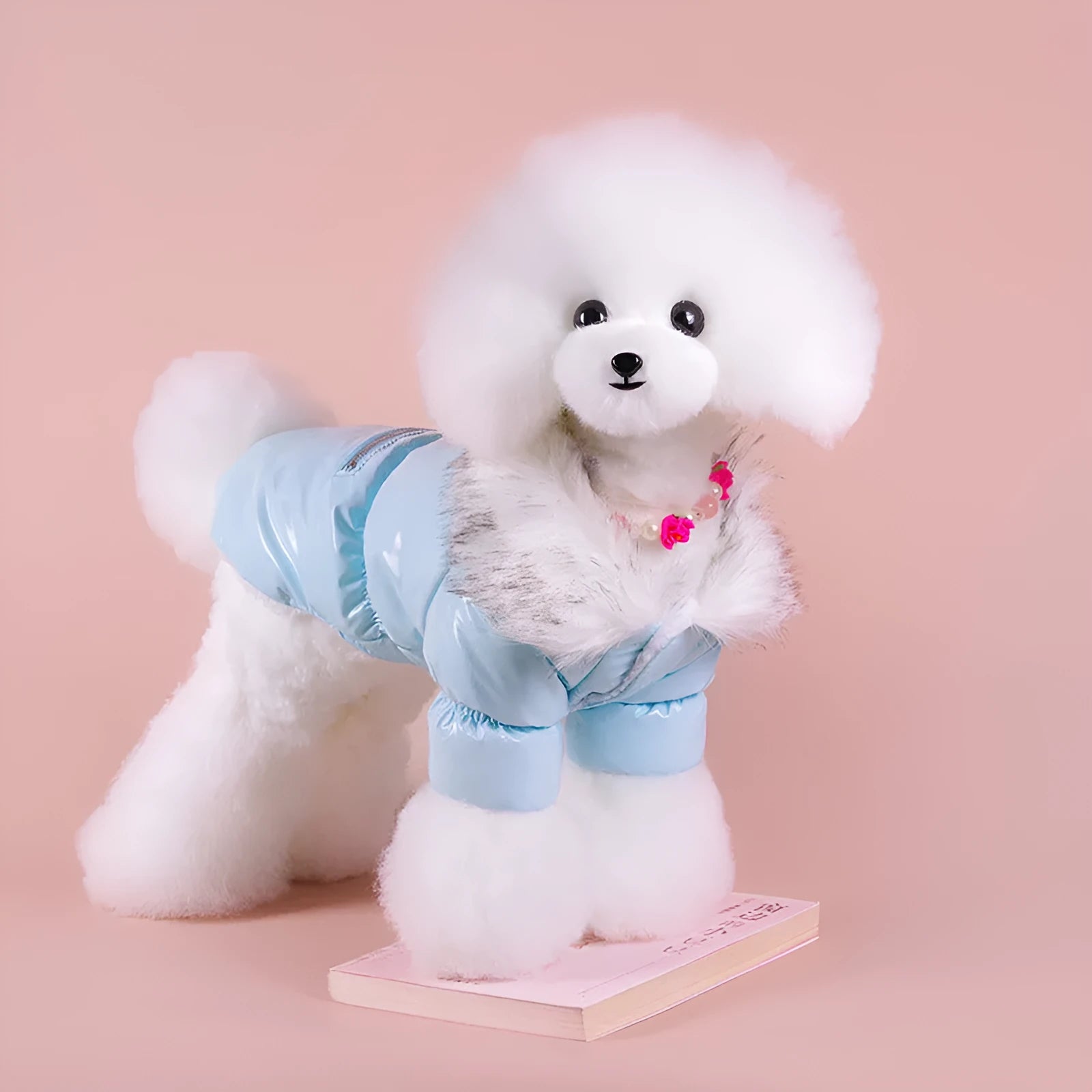 British style blue cotton winter jacket for medium-sized dog with collar and front closure