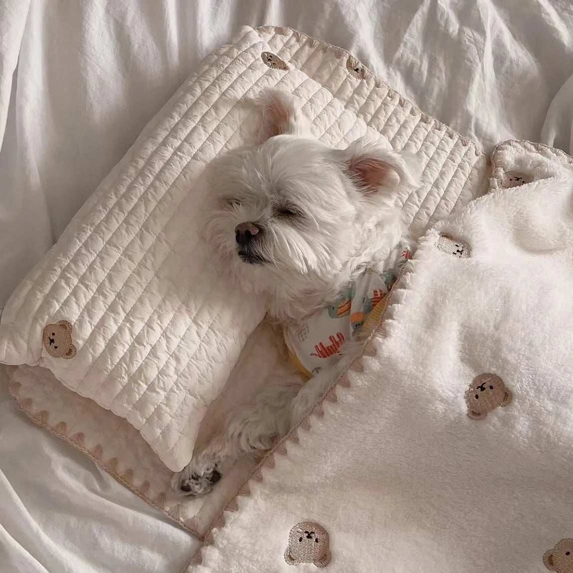 Fashion square mat removable washable dog bed set with bear pattern in polyester fabric