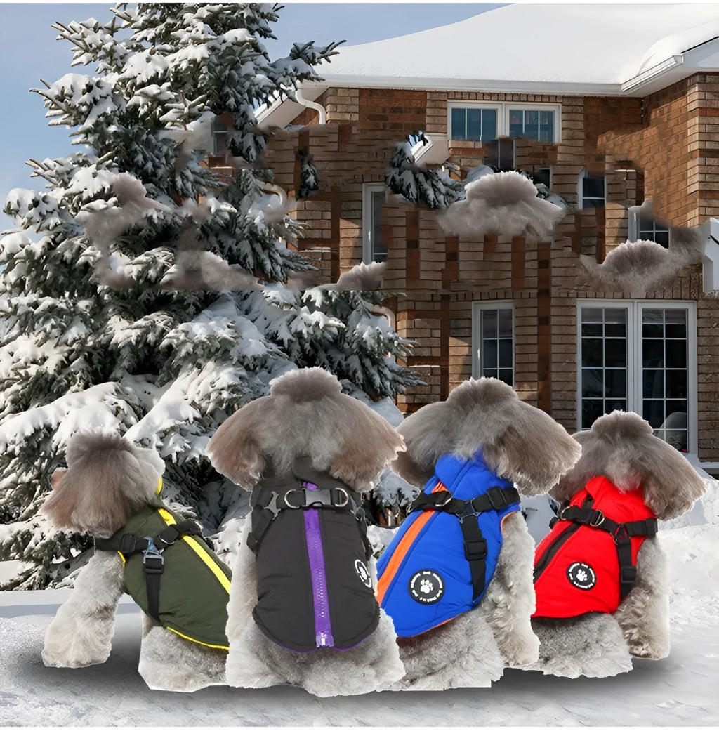 Polyester dog jacket with chest strap fastening and quilted padding in blue.