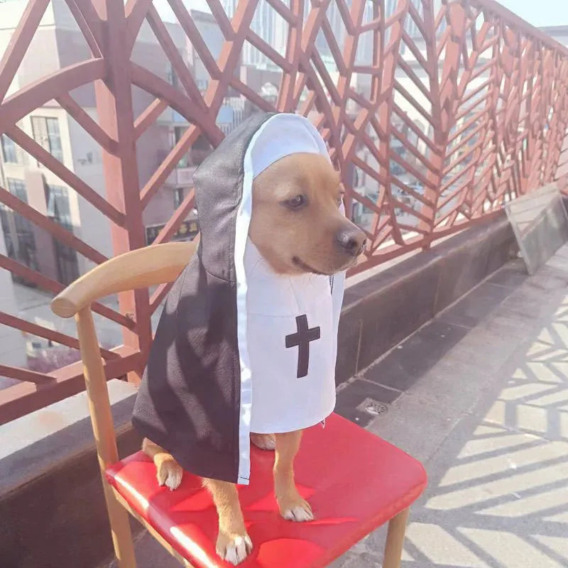 Black and white nun costume for small to medium dog on model