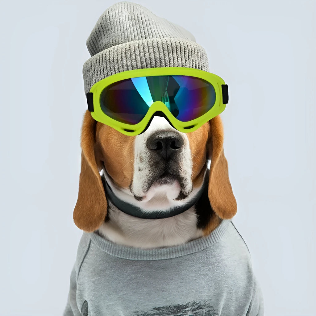 Dog sunglasses with UV400 PC lenses and full frame, shown in one of twelve colours including black white red and blue