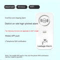 Overflow sensor independent alarm for water leak detection with wireless connectivity options