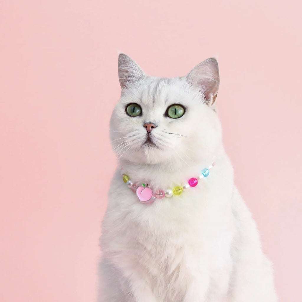 Colourful plastic pearl bead cat collar necklace showing rainbow, peach and small flower design options