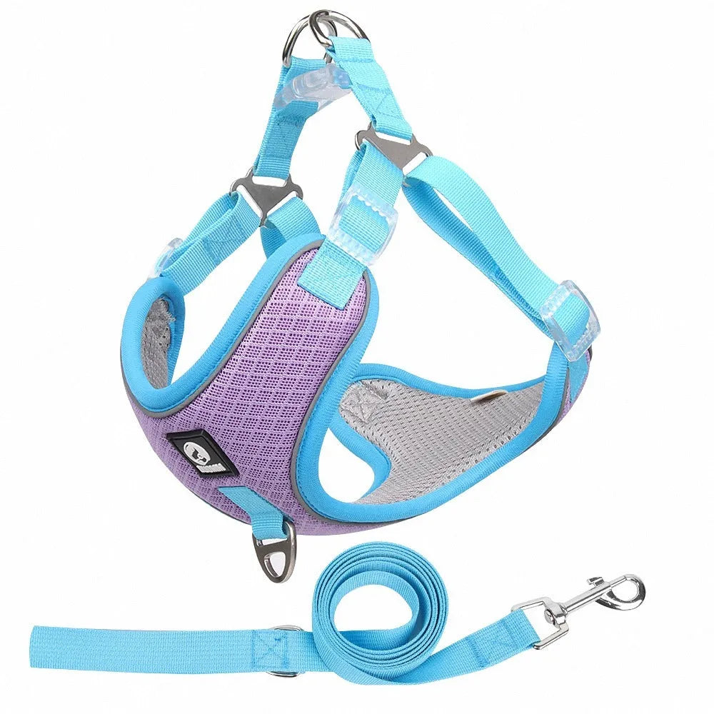 Adjustable dog harness with breathable mesh and reflective piping in black colour on mannequin